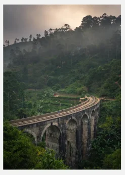 Jungle Train Rails Canvastavla (30x40 cm)
