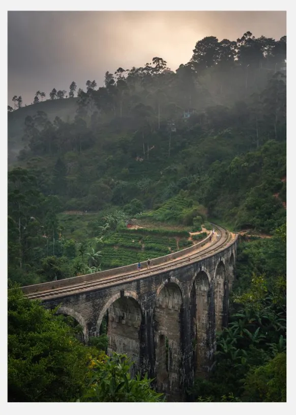 Jungle Train Rails Canvastavla (30x40 cm)
