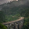 Jungle train rails Poster (21x29.7 cm (A4))