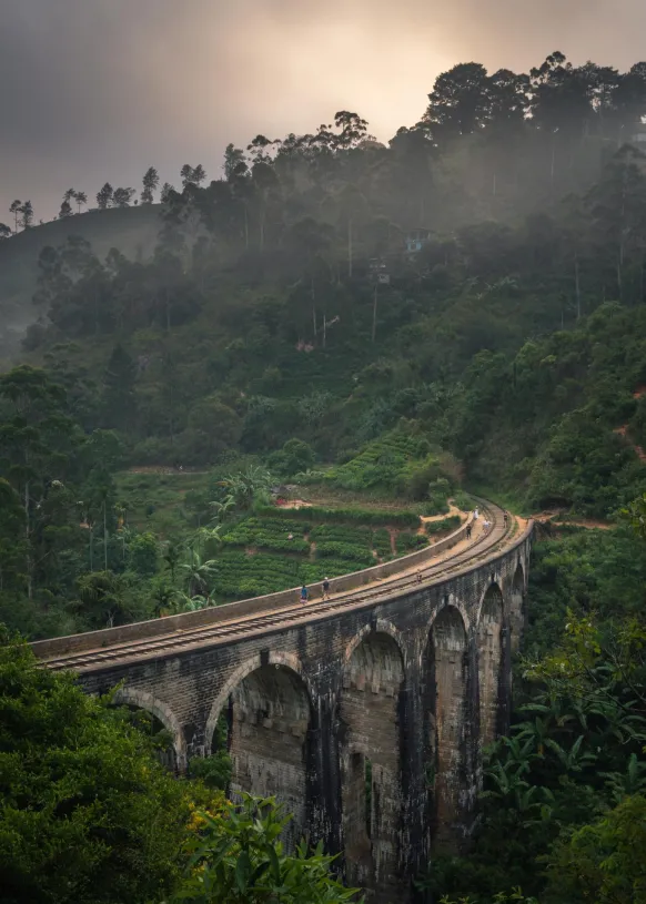 Jungle train rails Poster (21x29.7 cm (A4))