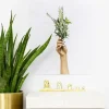 KAILA Poster Clip Gold 30 mm - 4-p