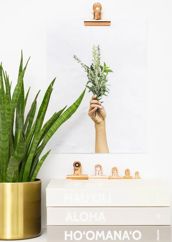 KAILA Poster Clip Rose Gold - 75 mm