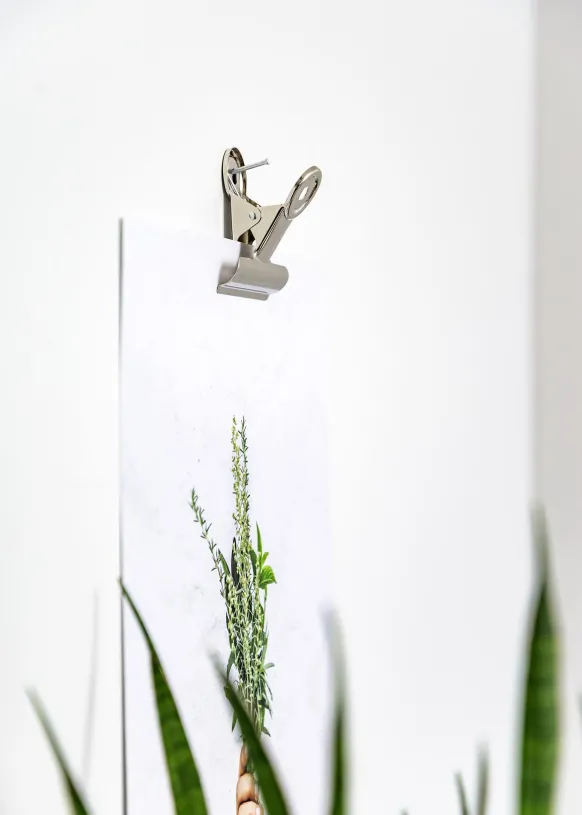 KAILA Poster Clip Silver 30 mm - 4-p