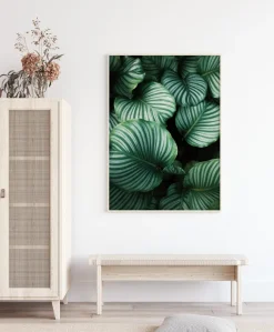 Kalatea Poster (21x29.7 cm (A4))