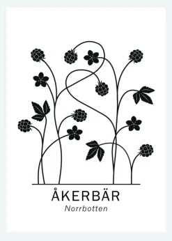 Åkerbär - Norrbotten Canvastavla (30x40 cm)
