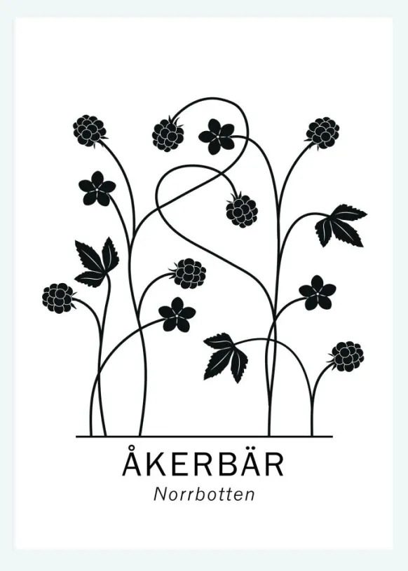 Åkerbär - Norrbotten Canvastavla (30x40 cm)