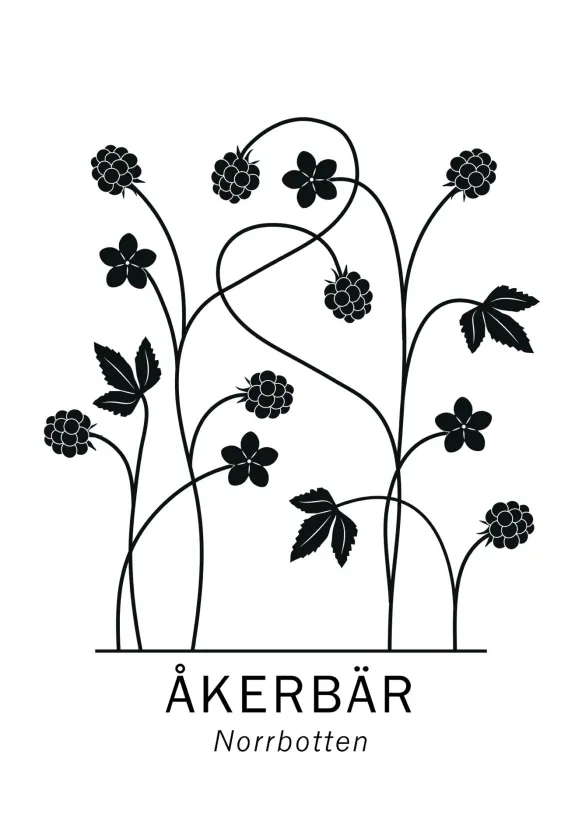Åkerbär - Norrbotten Poster (21x29.7 cm (A4))