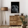 Kitten Poster (21x29.7 cm (A4))