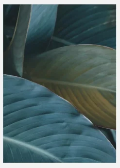 Leaf Close-up Canvastavla (30x40 cm)