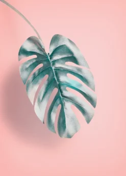 Leaf Poster (21x29.7 cm (A4))