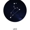 Leo Poster (21x29.7 cm (A4))