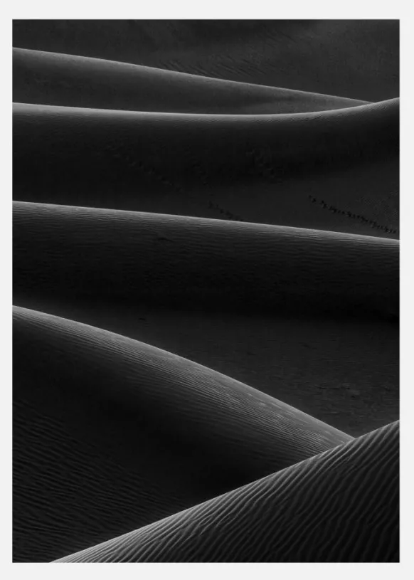 Life In Desert Canvastavla (30x40 cm)