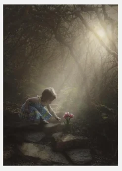 Light Up The Flower Canvastavla (30x40 cm)