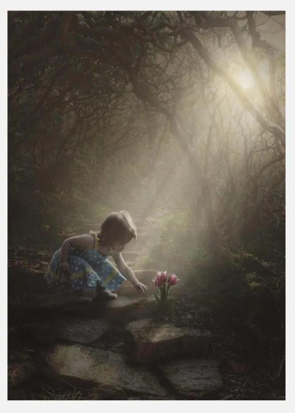 Light Up The Flower Canvastavla (30x40 cm)
