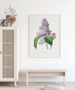 Lilac Flower Poster (21x29.7 cm (A4))