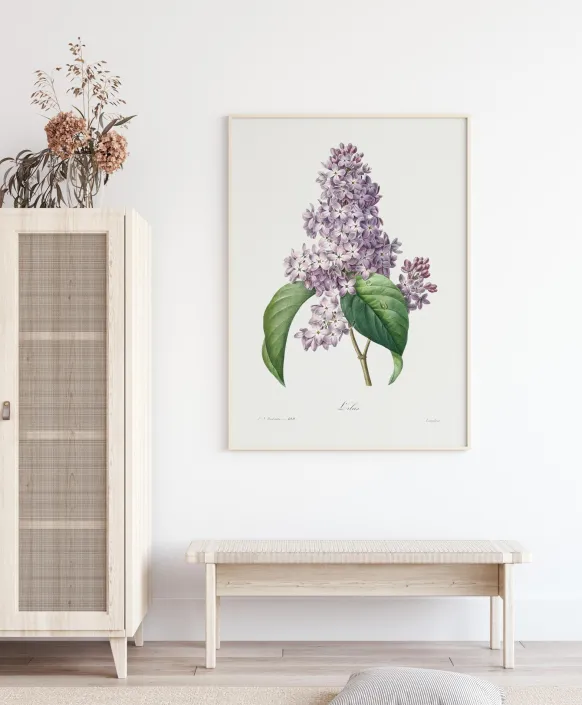 Lilac Flower Poster (21x29.7 cm (A4))