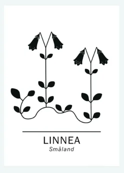 Linnea - Småland Canvastavla (30x40 cm)