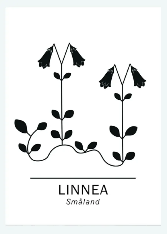 Linnea - Småland Canvastavla (30x40 cm)