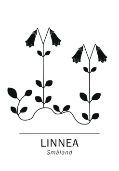 Linnea - Småland Poster (21x29.7 cm (A4))