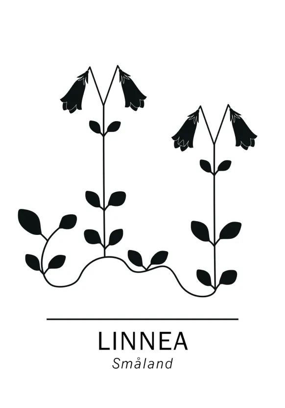 Linnea - Småland Poster (21x29.7 cm (A4))
