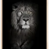Lion in black and white Poster (21x29.7 cm (A4))