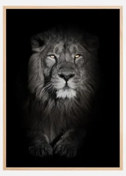 Lion in black and white Poster (21x29.7 cm (A4))