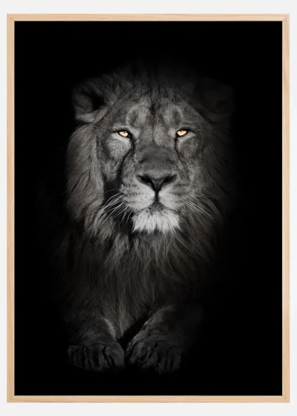 Lion in black and white Poster (21x29.7 cm (A4))