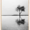 Lonely Tree Reflection Poster (21x29.7 cm (A4))