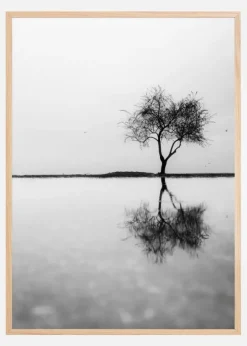 Lonely Tree Reflection Poster (21x29.7 cm (A4))
