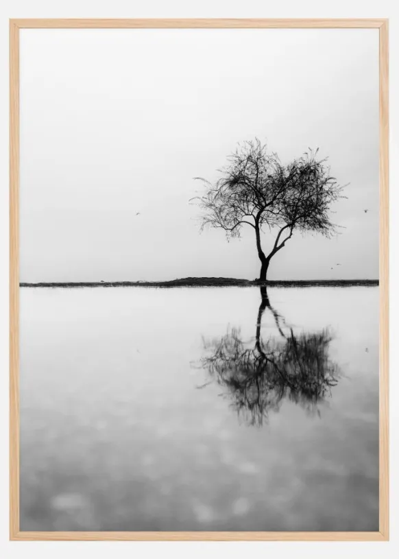Lonely Tree Reflection Poster (21x29.7 cm (A4))