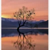 Lone Tree Is Not Lonely Canvastavla (30x40 cm)