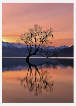 Lone Tree Is Not Lonely Canvastavla (30x40 cm)