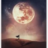 Look At The Moon Canvastavla (30x40 cm)