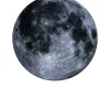 Luna Poster (21x29.7 cm (A4))