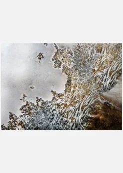 Luxury - Aztecs Whispers Canvastavla (30x40 cm)