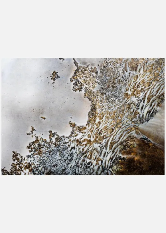 Luxury - Aztecs Whispers Canvastavla (30x40 cm)