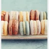 Macarones Canvastavla (30x40 cm)