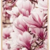 Magnolia Tree Poster (21x29.7 cm (A4))