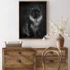 Maincoon Poster (21x29.7 cm (A4))