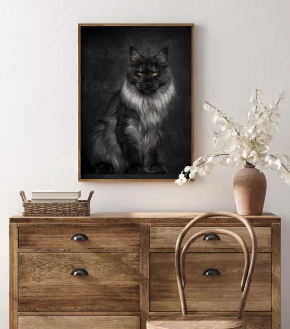 Maincoon Poster (21x29.7 cm (A4))