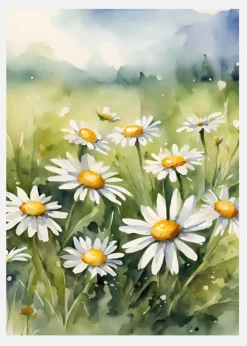 Margeriten Canvastavla (30x40 cm)