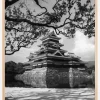 Matsumoto Castle Poster (21x29.7 cm (A4))