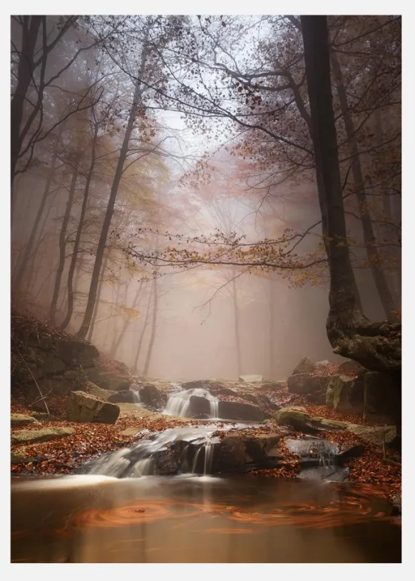 Mistyc Mist Canvastavla (30x40 cm)