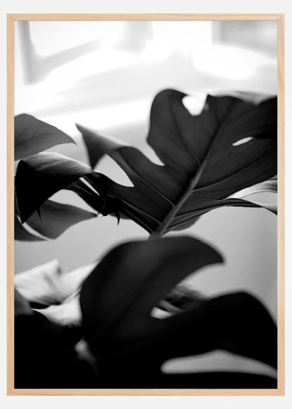 Monstera in Black and White l Poster (21x29.7 cm (A4))