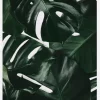 Monstera Plant I Canvastavla (30x40 cm)