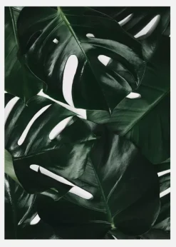 Monstera Plant I Canvastavla (30x40 cm)