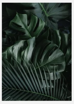 Monstera Plant II Canvastavla (30x40 cm)