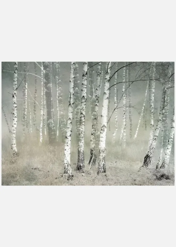 Morning Silence Canvastavla (30x40 cm)