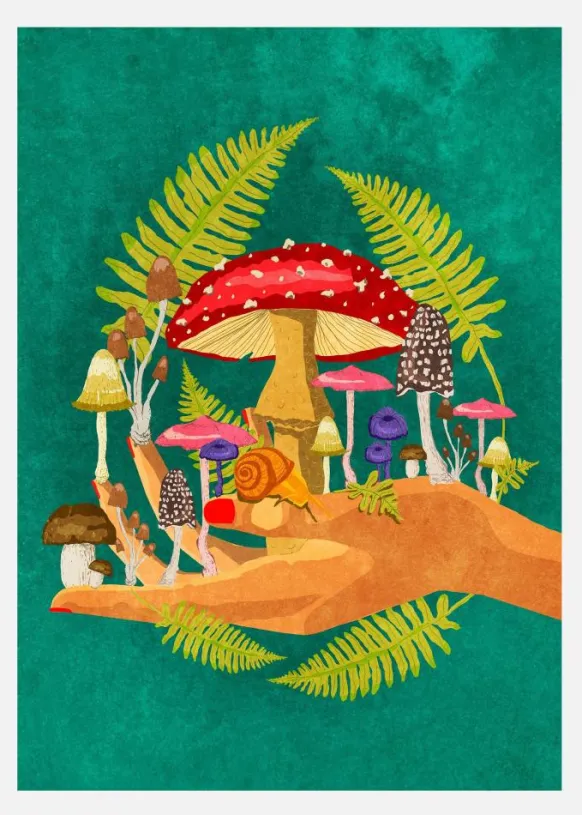 My Mushroom Cosmos Canvastavla (30x40 cm)