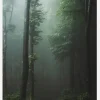 Mysterious Forest Canvastavla (30x40 cm)